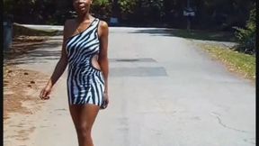 Cocos Fitted Dress
