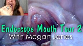 Endoscope Mouth Tour 2 - Megan Jones - HD 720 MP4