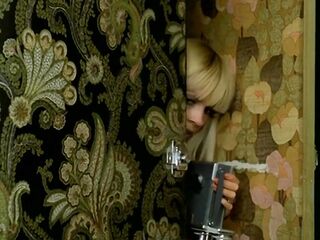 Evenings Of A Voyeur Pair (1979)