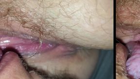 Compilation Number 4 Get Them Big Bushes