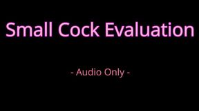 Small cock evaluation - Audio Only MP4