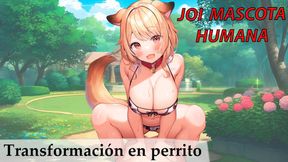 Get dominated and degraded in sick Spanish JOI sessions for horny&#x1F975; cum-slaves, featuring humiliating human petplay