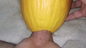 Big Dick Fucking Watermelon Close Up