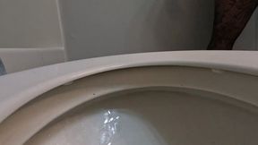 Giantess Finds Teenie on her Toilet POV 1080