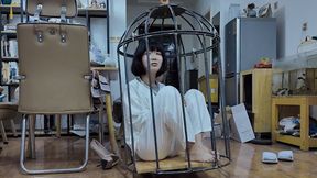 YT2763 Caged Bird