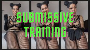 How to be the Best Submissive Training
