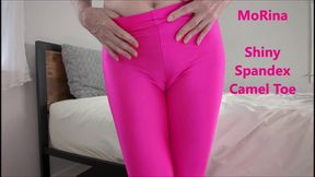 Shiny Spandex Camel Toe