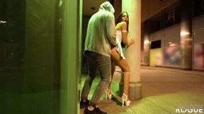Party Girl Cheats on her Boyfriend - Risky Doggy Fuck in Public - Shaiden Rogue