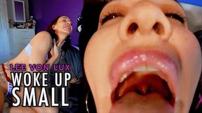 Lee Von Lux - Woke Up Small - 4K UHD