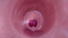 Female Insemination - Internal Camera Captures Deep Male Ejaculation