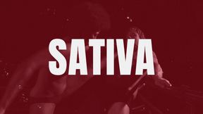 SEXBATTLE RING - BOUT #26 - THE SERIAL BALLBUSTER - SATIVA in 4K!
