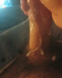 Ima sexy beast.  photo