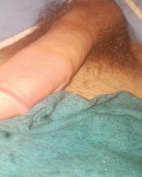 Ima sexy beast.  photo