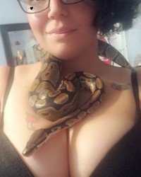 Choke me with your python photo