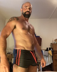 leather pig photo