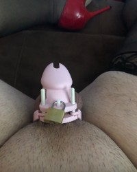 Caged hubby photo