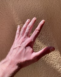 my hands photo