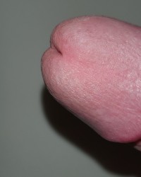 My big dick photo
