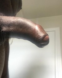 Below the Belt photo