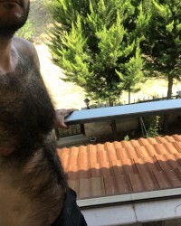 Very hairy man photo