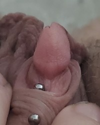 Pussy photo