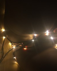 New year photo