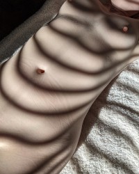 Sun Stripes photo