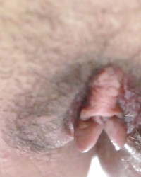 Pussy gallery photo