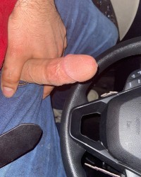 Daily dick pics. photo