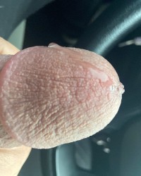 Daily dick pics. photo