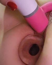 Completely Stuffed photo