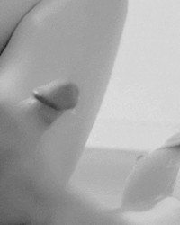 Assorted Gifs & Pics  photo