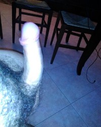 il mio cazzo photo