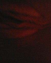 PUSSY photos photo