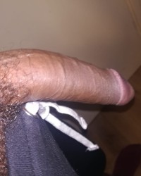 A Kings Seduction photo