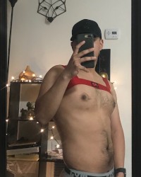 Harnes and jockstrap photo