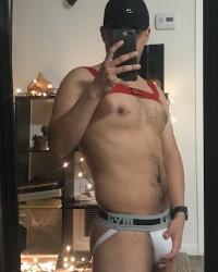Harnes and jockstrap photo
