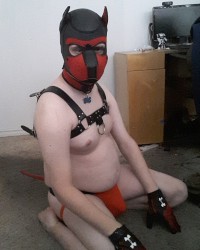 My Pup Self photo
