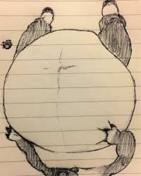 my furry art photo