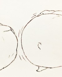 my furry art photo