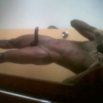 Mrroddy
