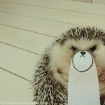 BeautifulCreature