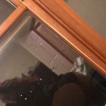 sassykitten420