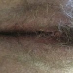 HairySandwich