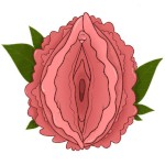 Sweetrose25