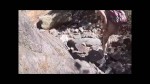 播放列表 Thumb 100867661-1