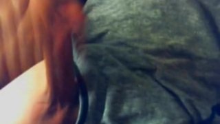 中风未切割的公鸡