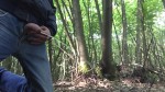 播放列表 Thumb 262639172-1