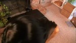 播放列表 Thumb 224146021-1