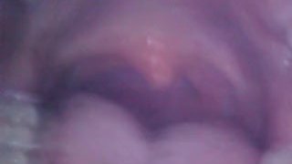 ♥ ♡ ♥ VORE / SNAKE CAM 测试 - 救助！♥